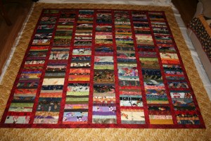 coin quilt - custom quilting